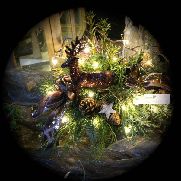 Weihnachtsgesteck mit Hirschfigur und Lichterkette.