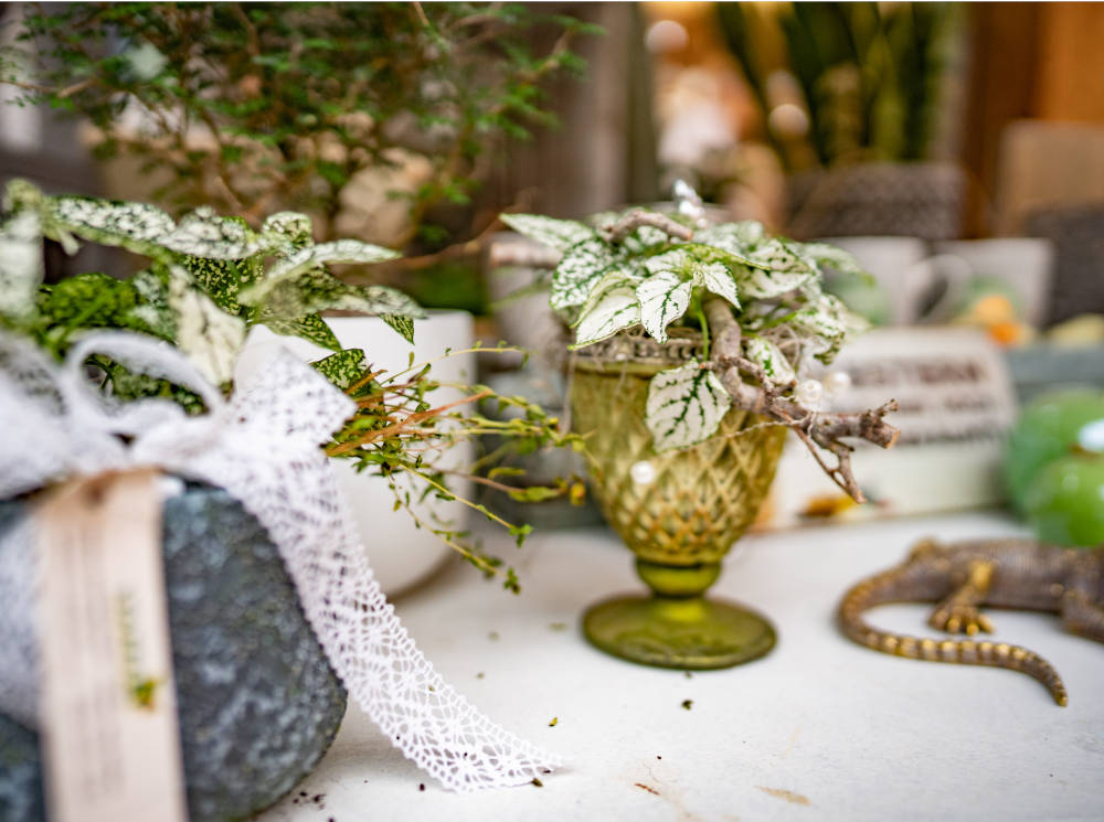 Tischdekoration bestehend aus Grünpflanzen inlusive passender Vasen.