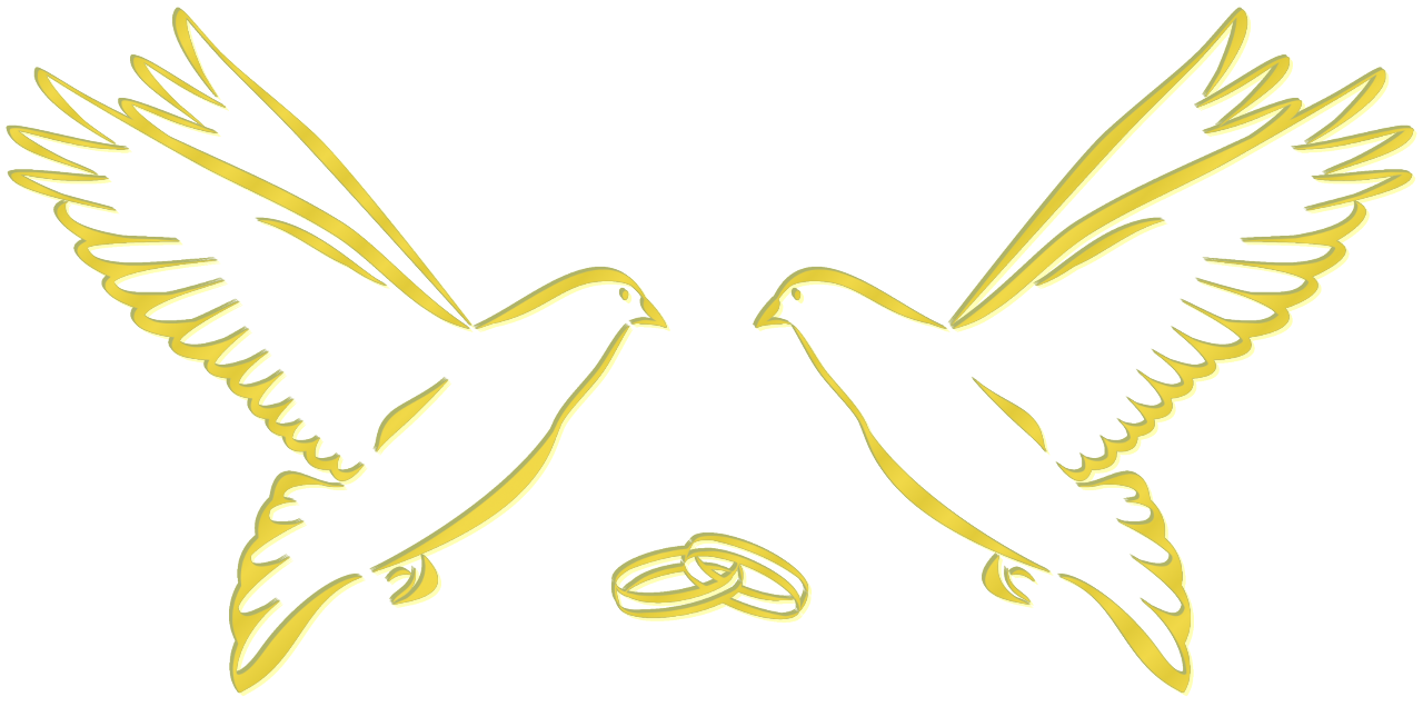 Umriss von Tauben mit Eheringen. Symbol für Hochzeit.