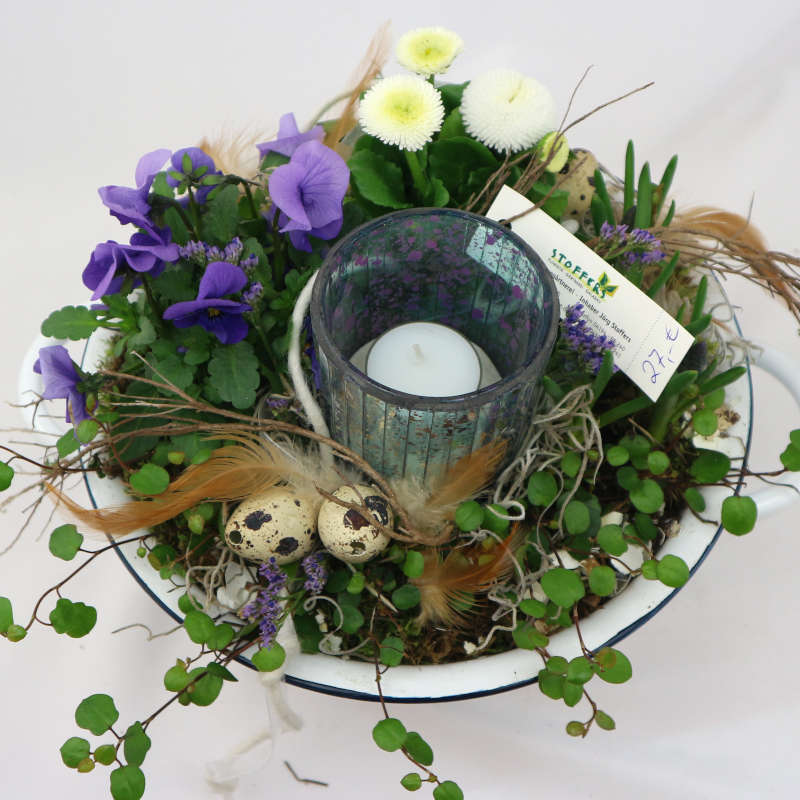 Eine weiße Pflanzschale mit lila Hornveilchen, weißen Bellis, Muehlenbeckia sowie einem Kerzenglas.