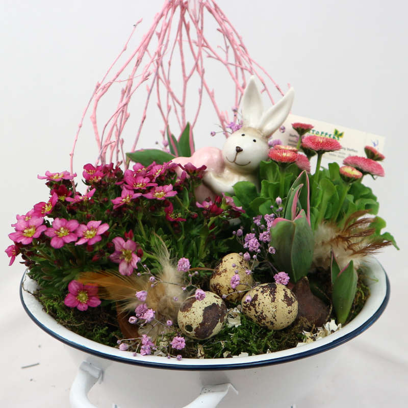 Zwischen den rosa Blüten von Teppichphlox, Bellis und Schleierkraut versteckt sich ein Häschen.