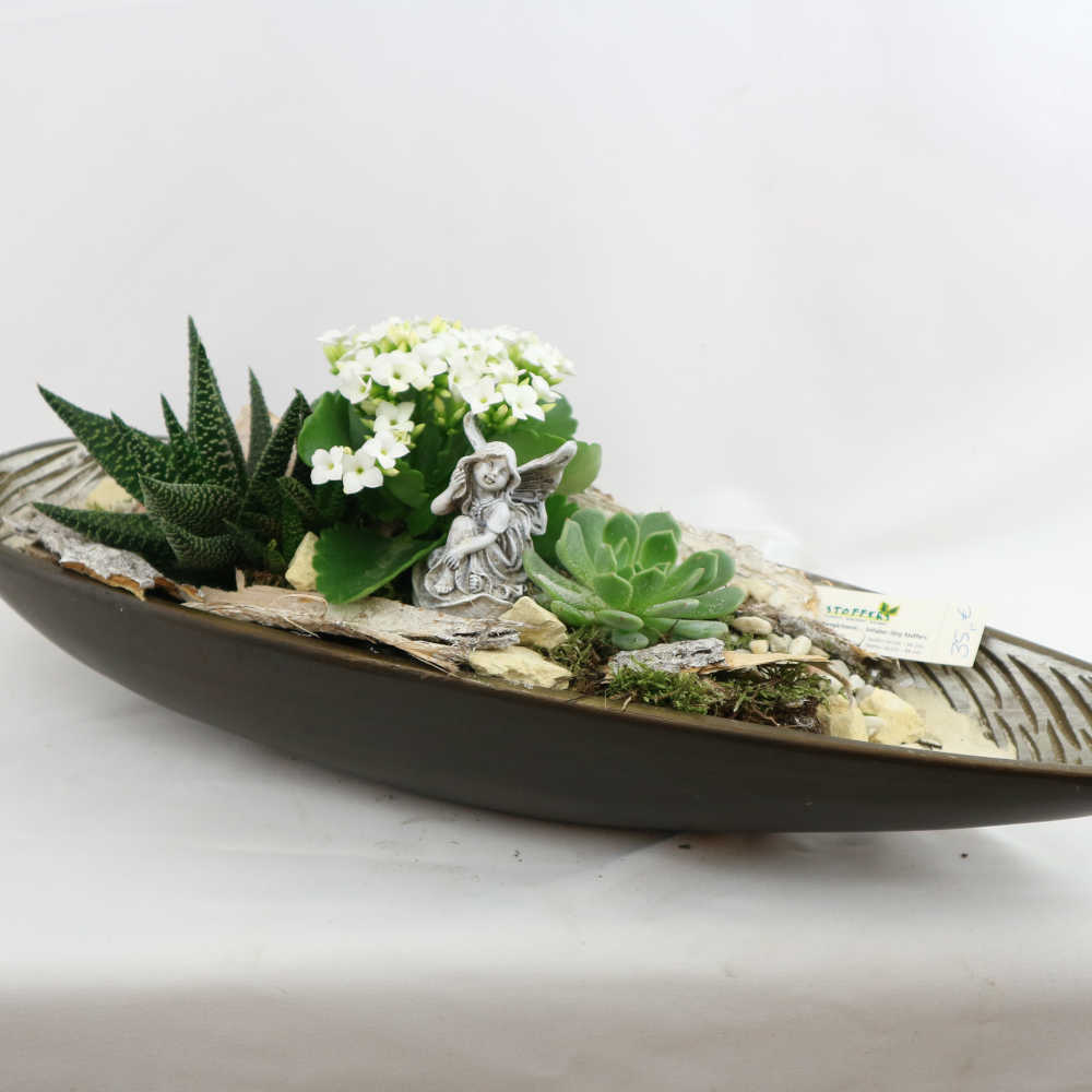 Mit etwas Fantasie erinnert diese Pflanzschale an eine offene Muschel. Ein kleine Elfe sitzt zwischen Sukkulenten und weiß blühender Kalanchoe.