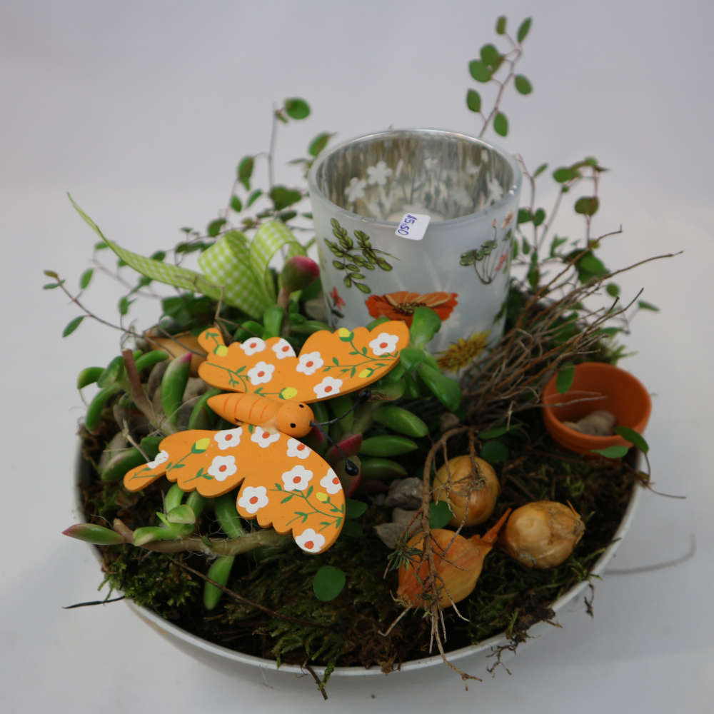  Eine mit Sukkulenten und Mühlenbeckia bepflanzte Schale. Bestückt mit einem Kerzenglas und einer Schmetterling-Figur. 