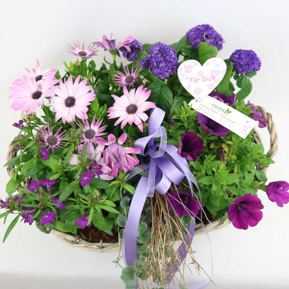 Diesen länglichen Flechtkorb haben wir mit Bornholmer Margerite, Petunie, Vanilleblume und Lobelie in lila Farbtönen bepflanzt.